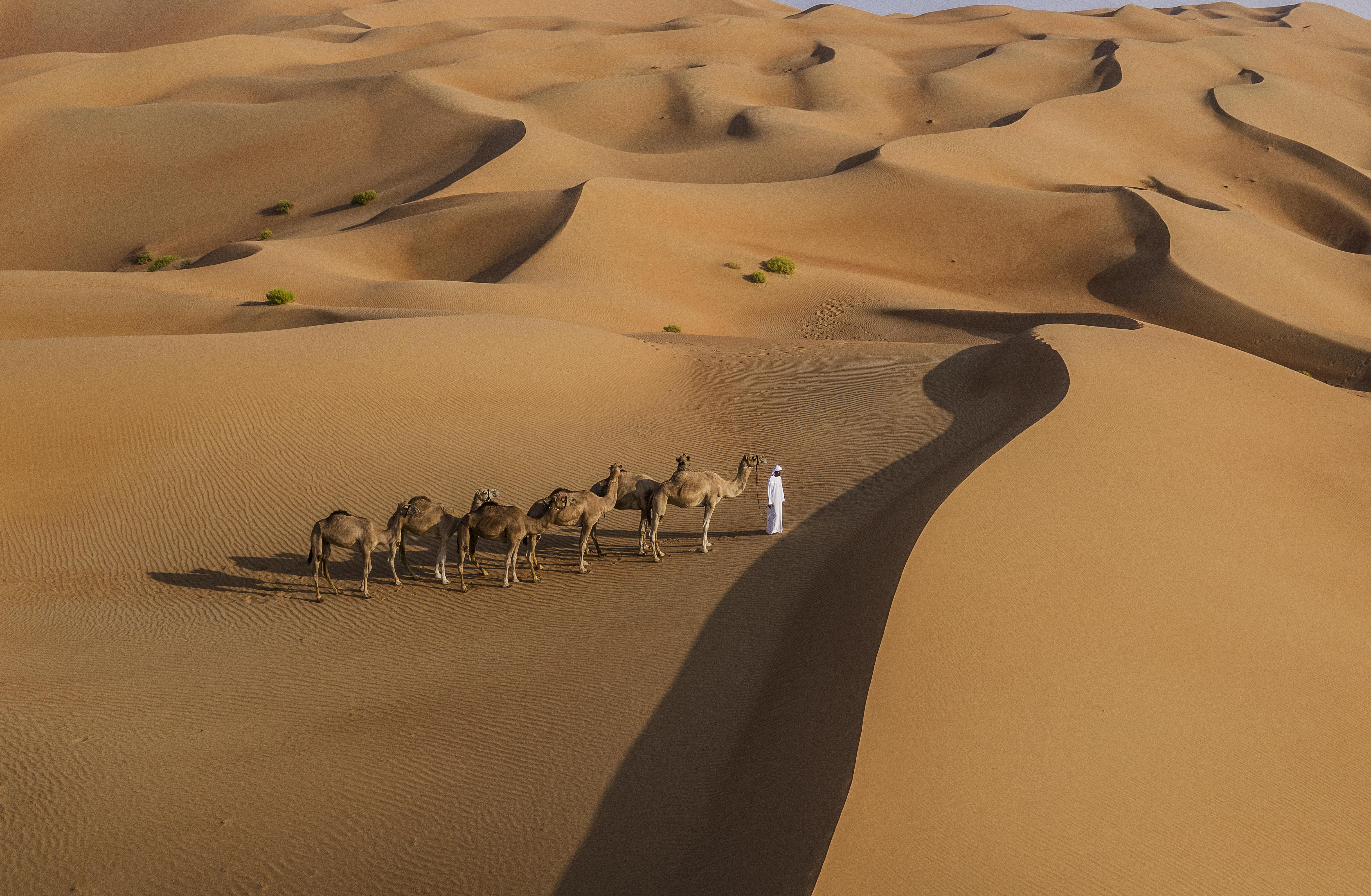Anantara Qasr Al Sarab Desert Resort Jereirah Eksteriør bilde
