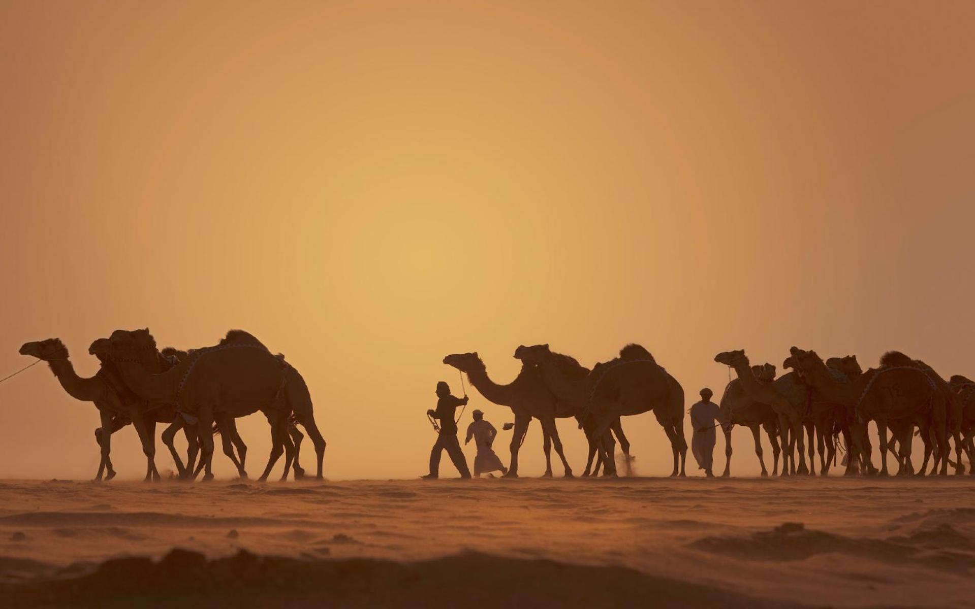 Anantara Qasr Al Sarab Desert Resort Jereirah Eksteriør bilde